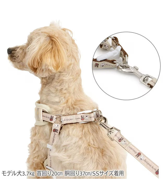 Lisa and Gaspard Harness & Leash Set