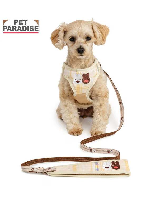Lisa and Gaspard Harness & Leash Set