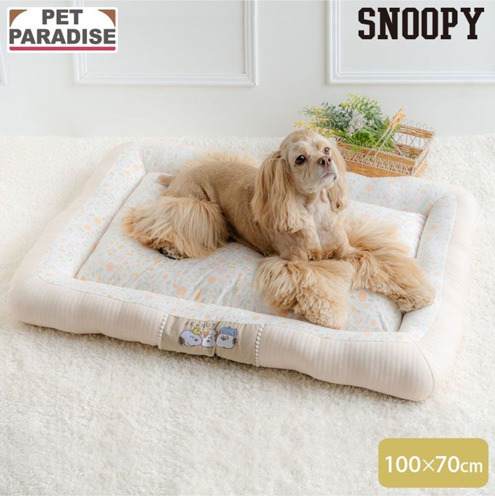 Snoopy Spring Cuddler Relax Bed
