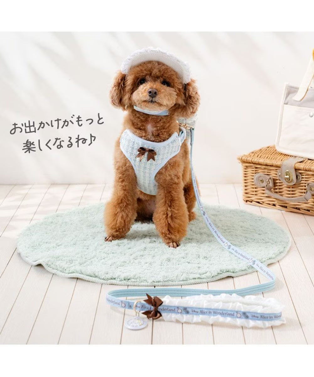Alice Backpack Harness
