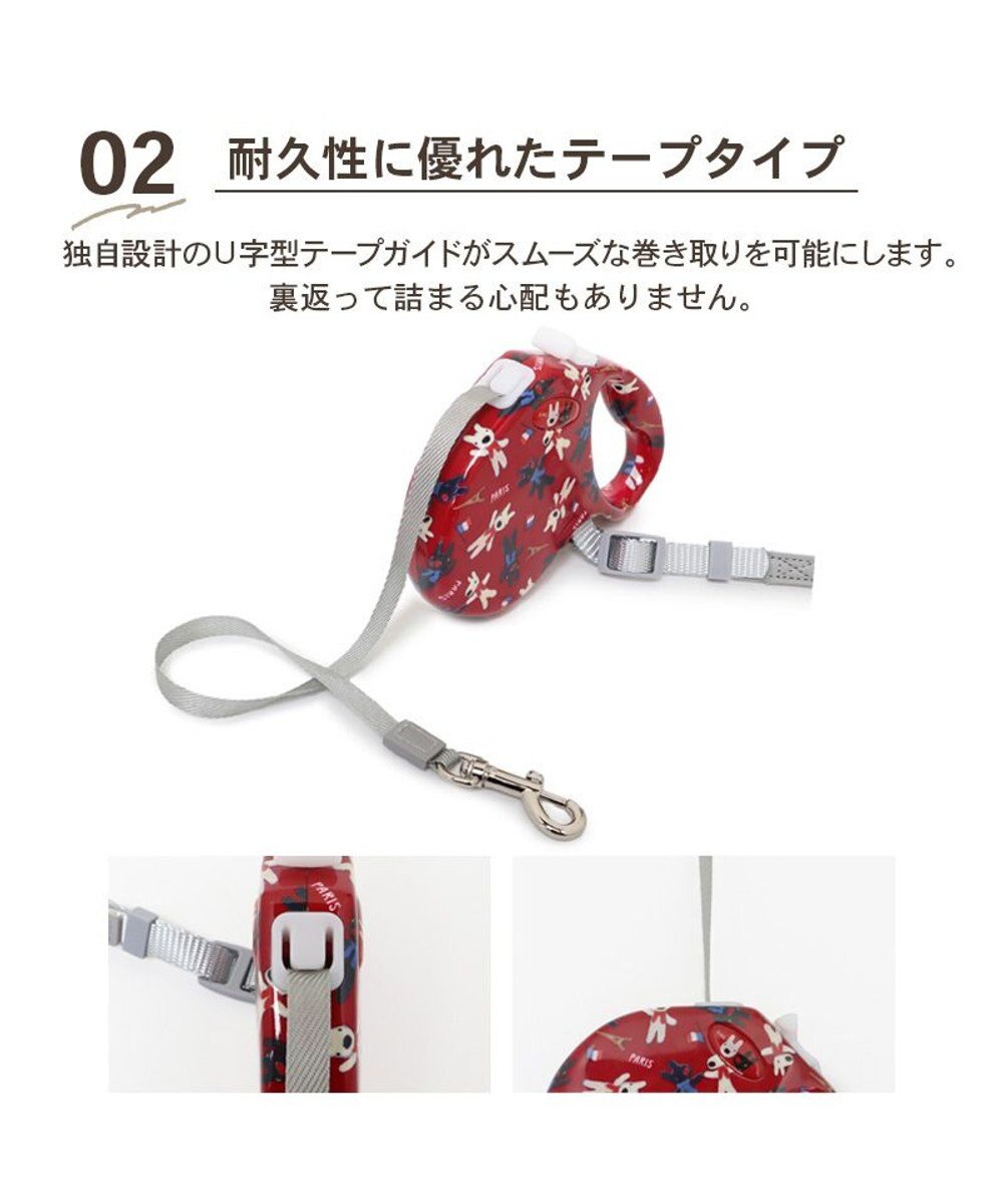 Lisa and Gaspard Retractable Leash