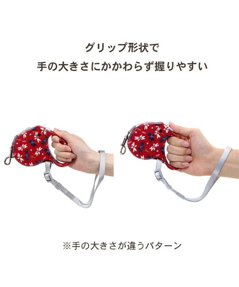 Lisa and Gaspard Retractable Leash