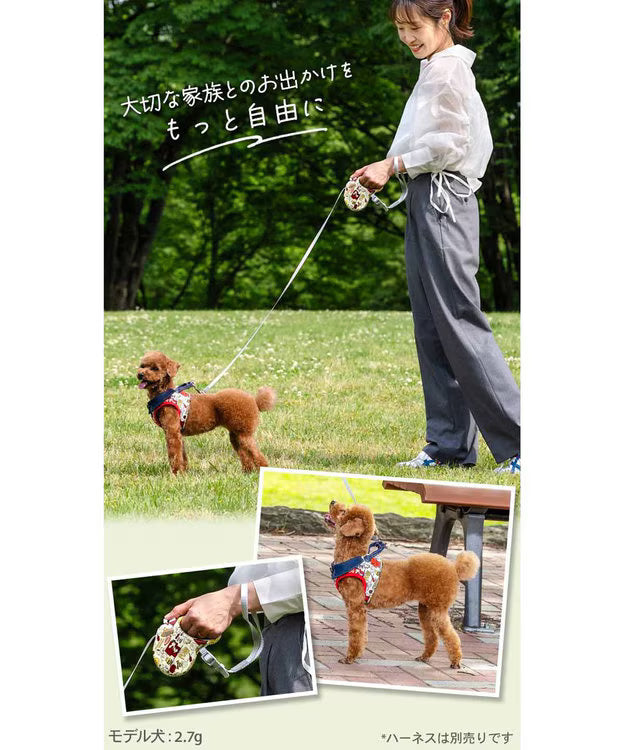 Snoopy Retractable Pet Leash