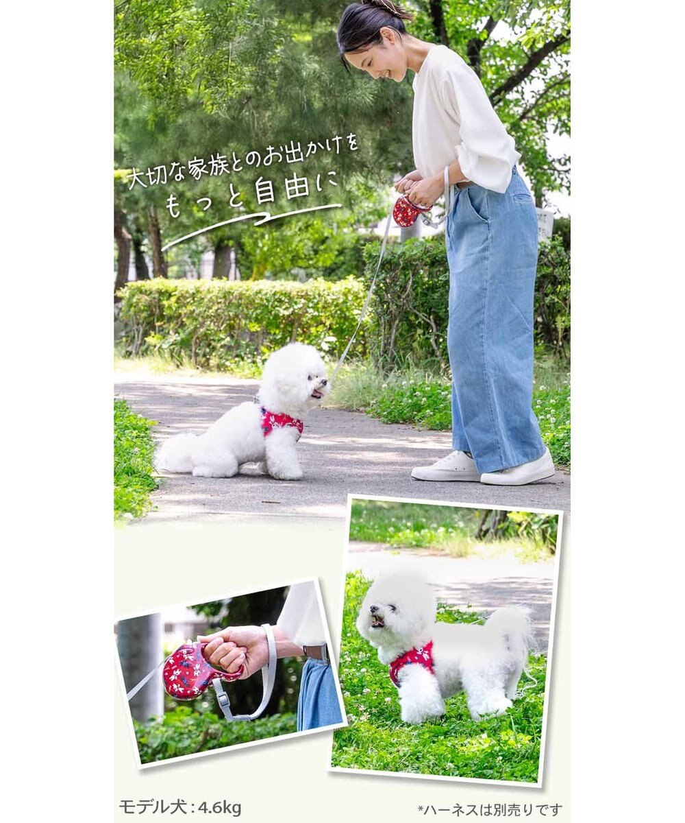 Lisa and Gaspard Retractable Leash