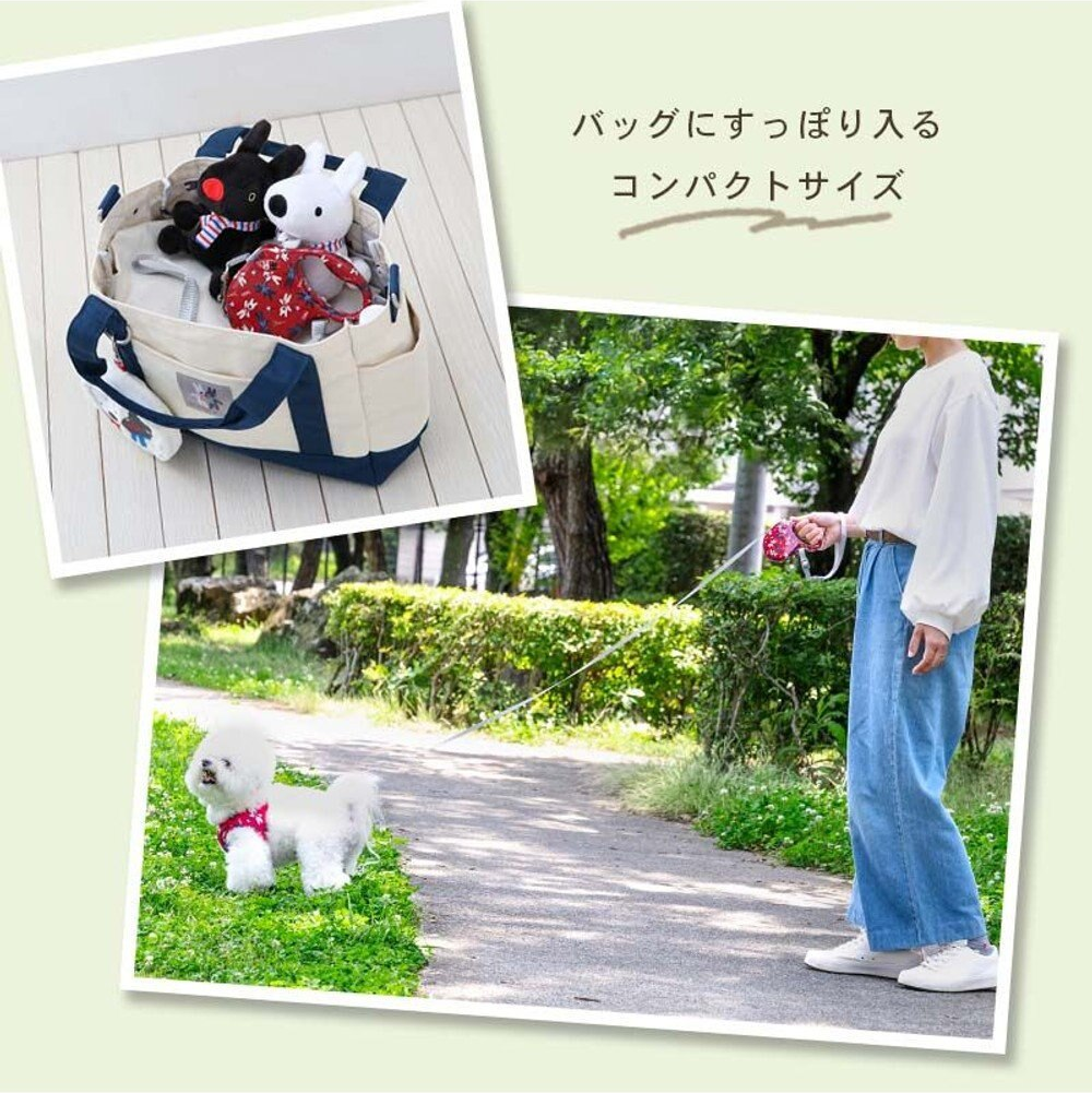 Lisa and Gaspard Retractable Leash