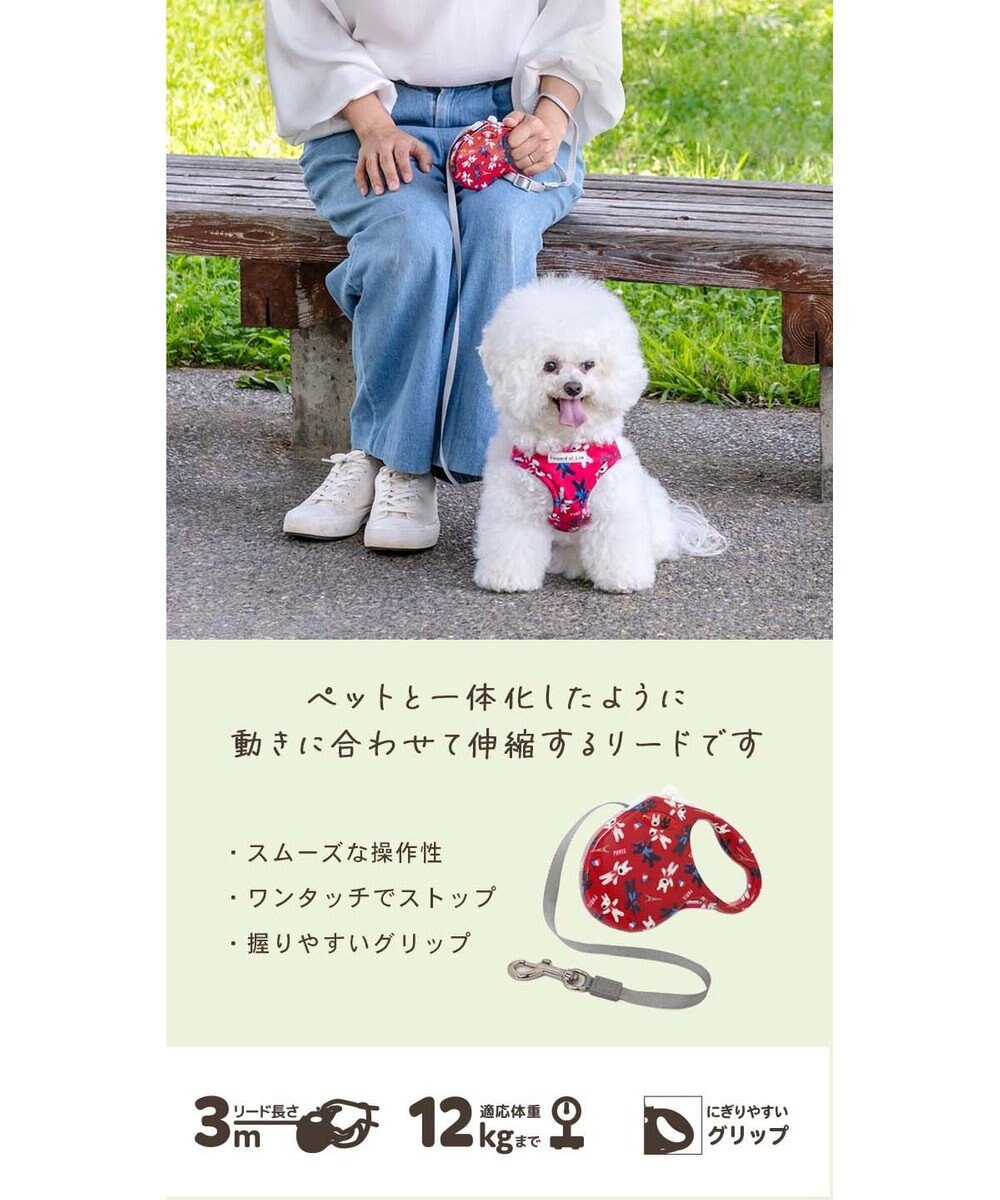 Lisa and Gaspard Retractable Leash