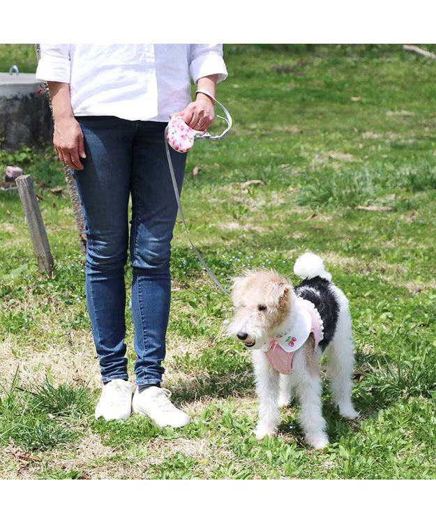 Little Strawberry Retractable Pet Leash