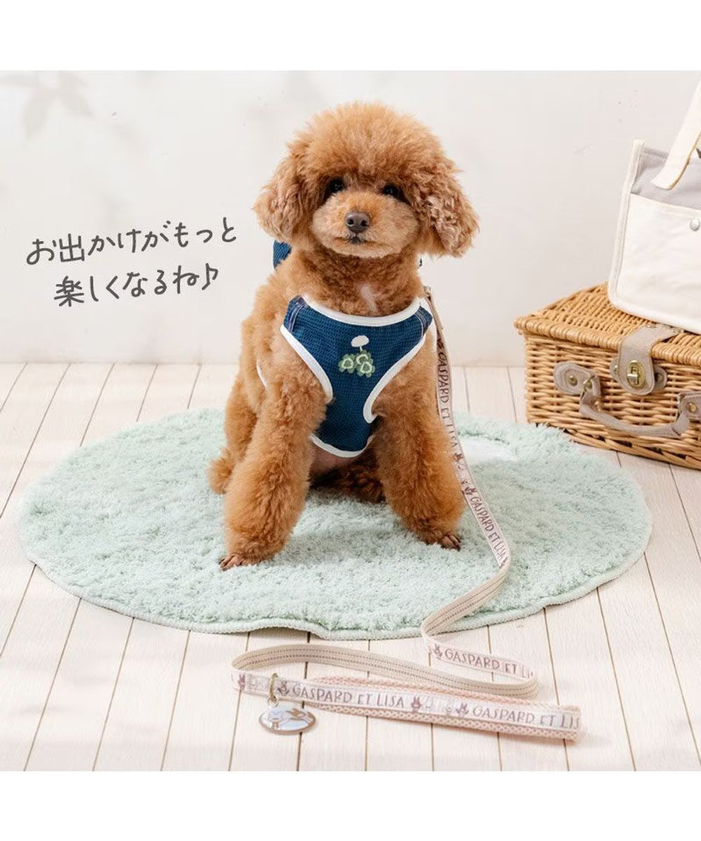 Lisa & Gaspard Lisa Face Backpack Harness