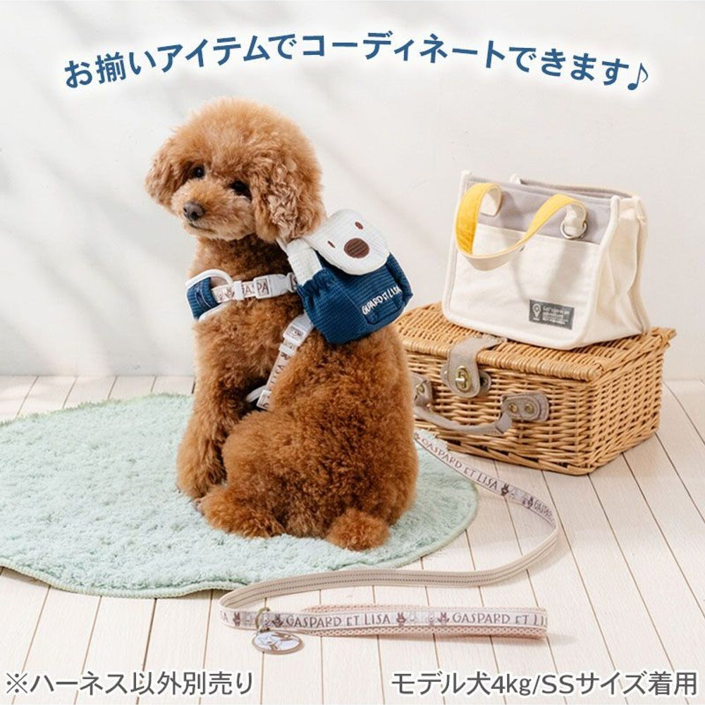 Lisa & Gaspard Lisa Face Backpack Harness