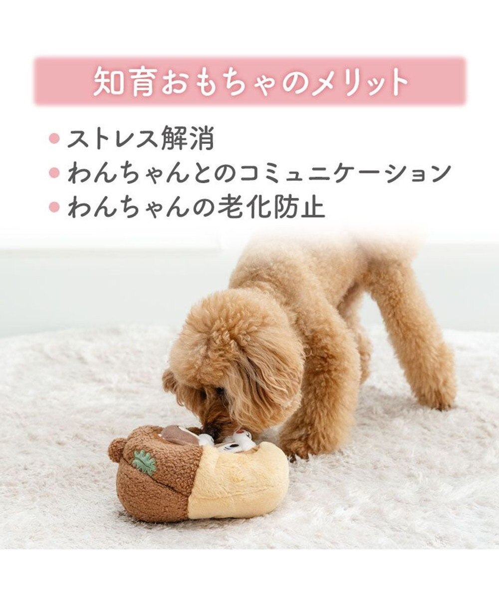 [Coming Soon]Chip and Dale Acorn Enrichment Toy
