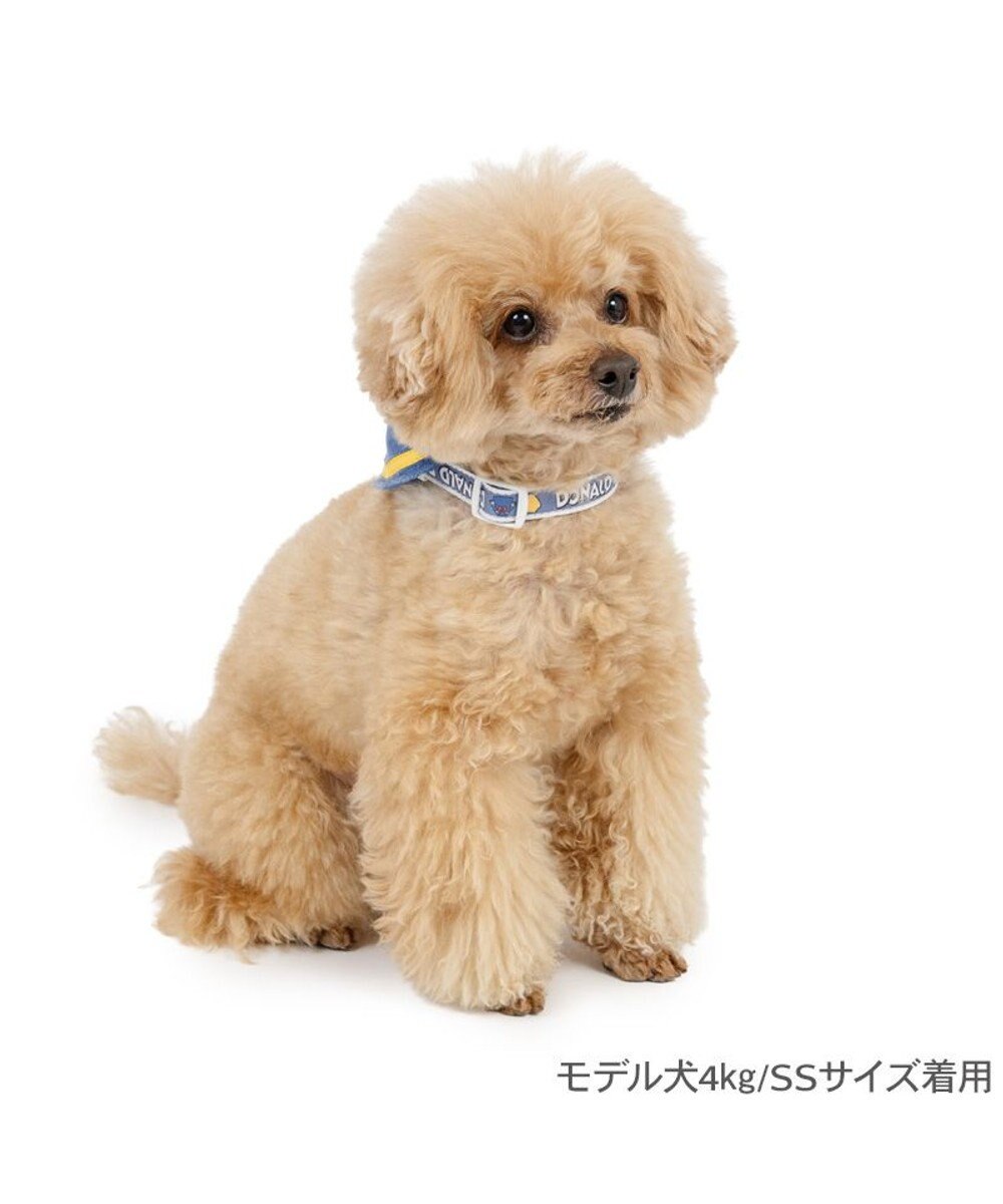 Donald Sailor Collar