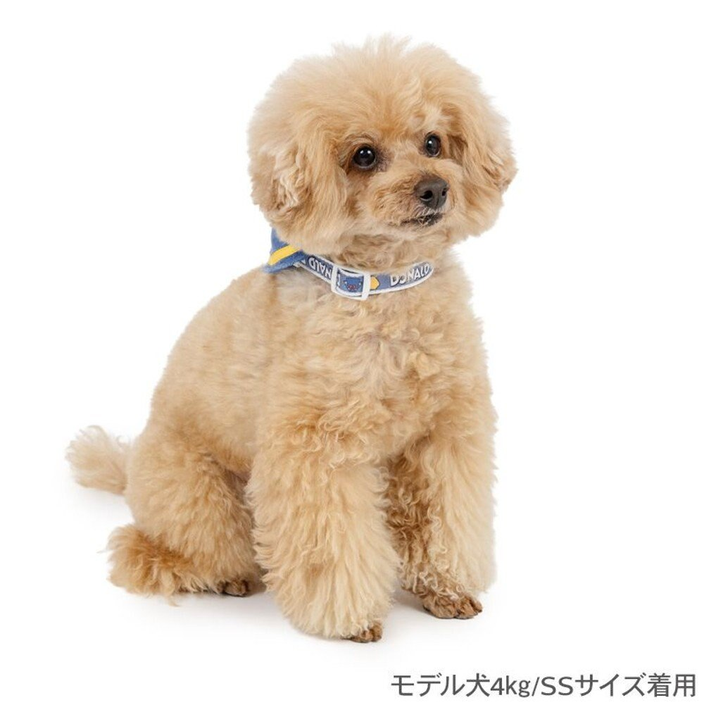 Donald Sailor Collar