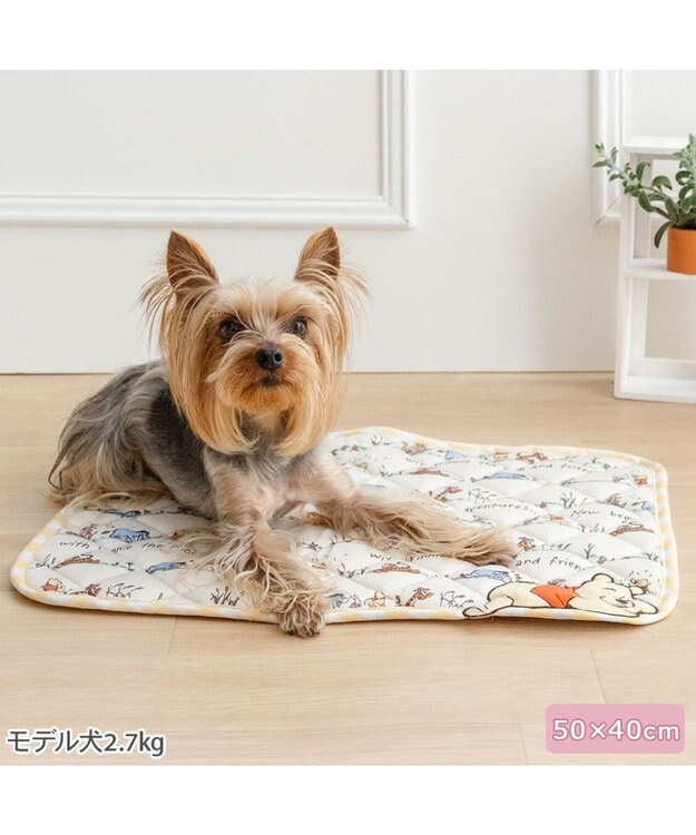 Hibernation Winnie the Pooh Cooling Mat