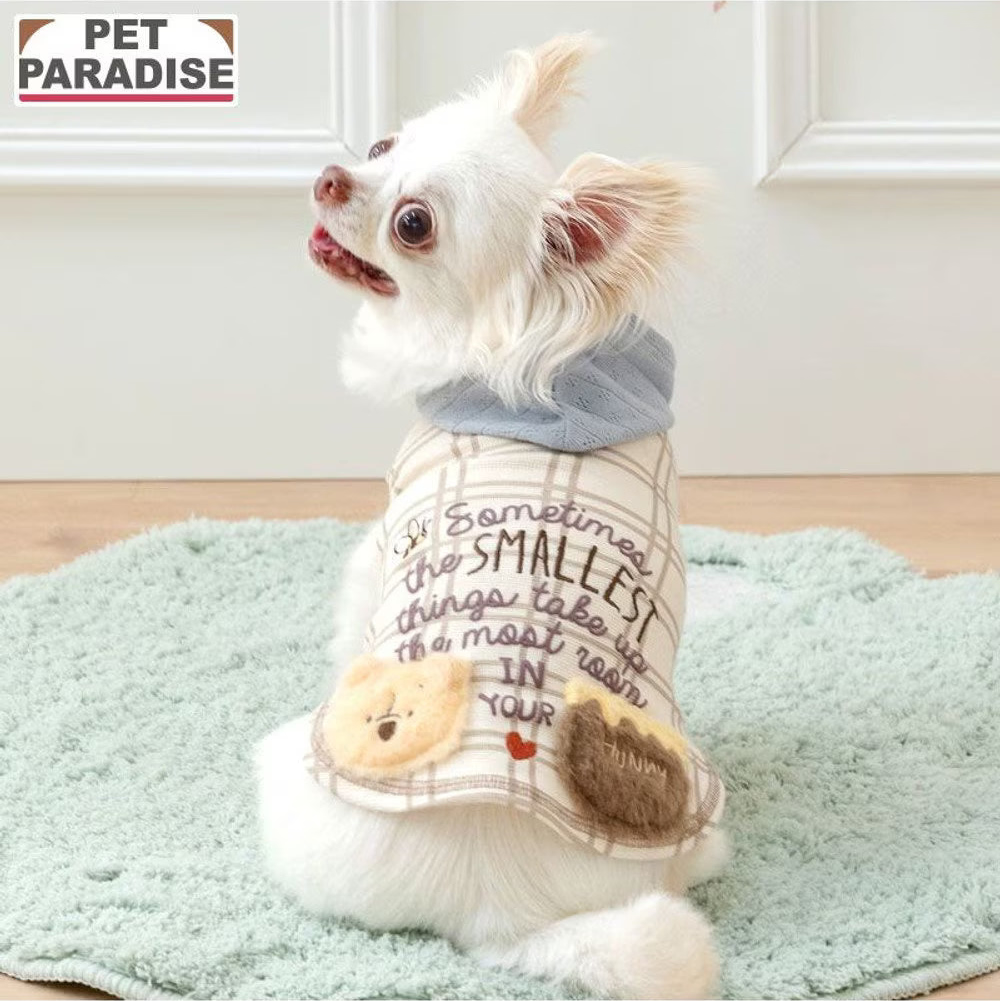 Winnie the Pooh Checkered Hoodie