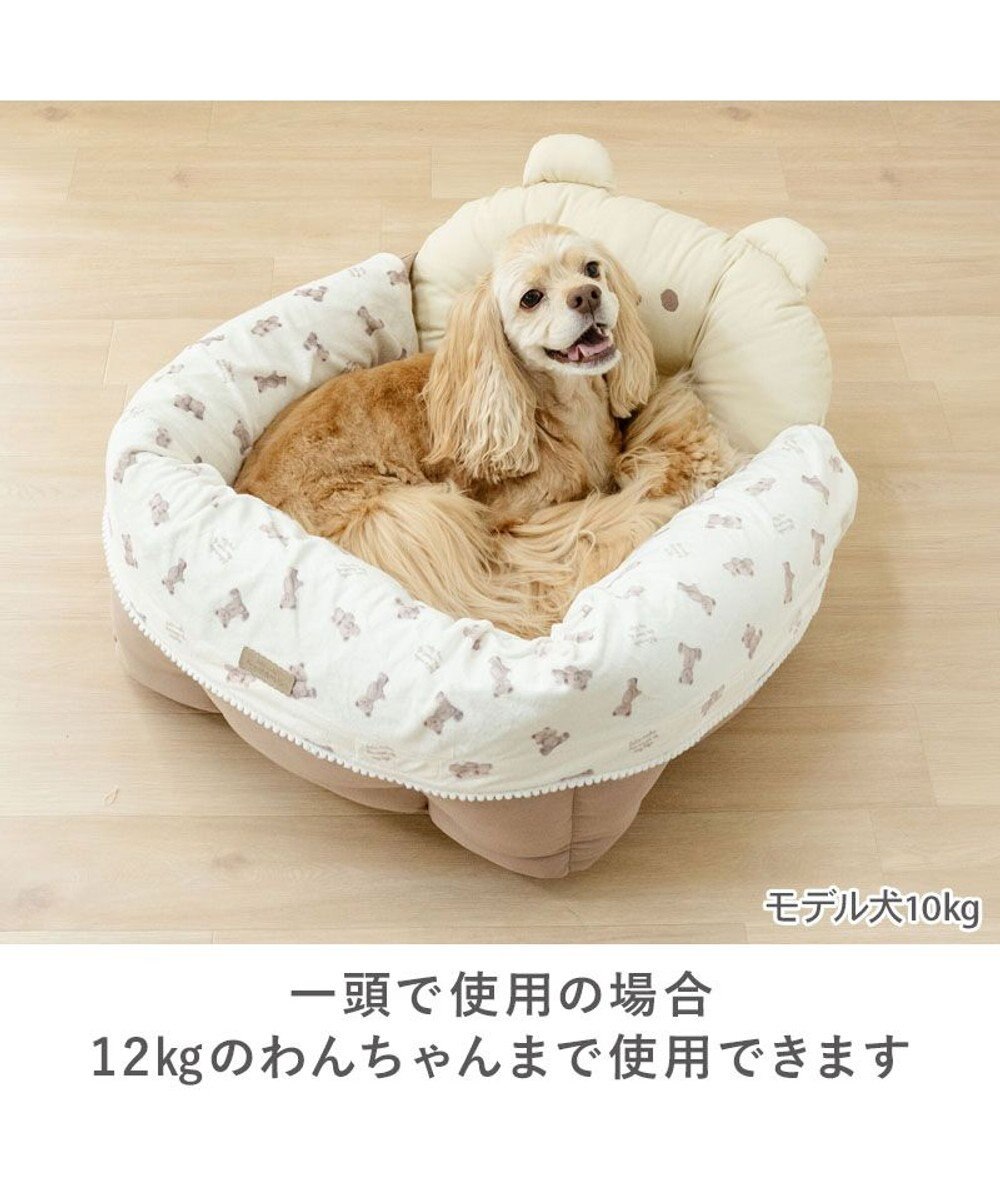 Bear Canvas Drive Cuddler