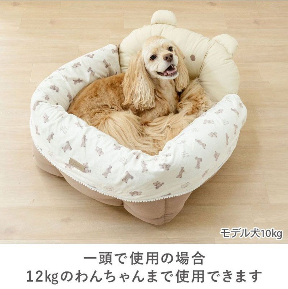 Bear Canvas Drive Cuddler
