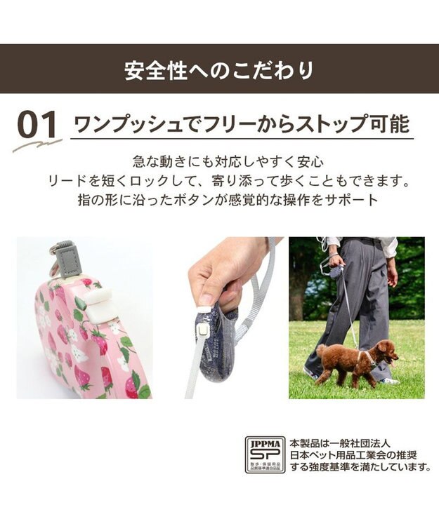 Little Strawberry Retractable Pet Leash