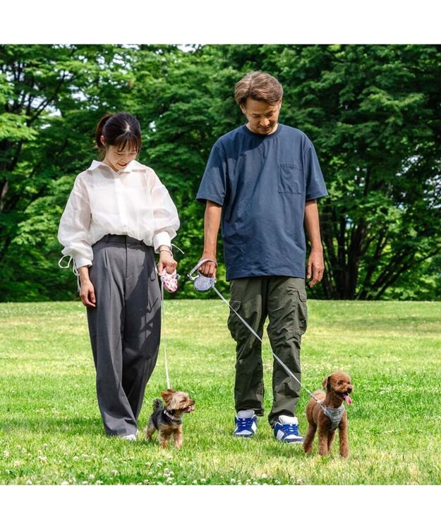 Little Strawberry Retractable Pet Leash