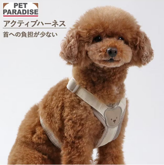 Kuma-Chan Active Harness