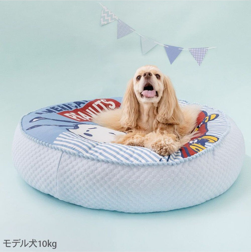 Snoopy Skateboard Cushion Cooling Bed