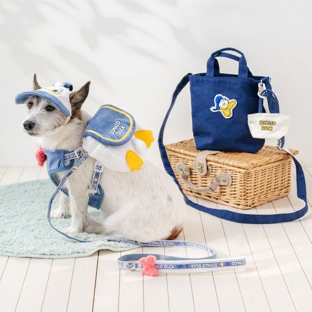 Donald Duck Leash