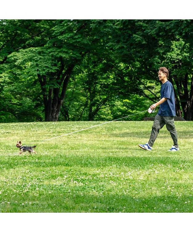 Little Strawberry Retractable Pet Leash