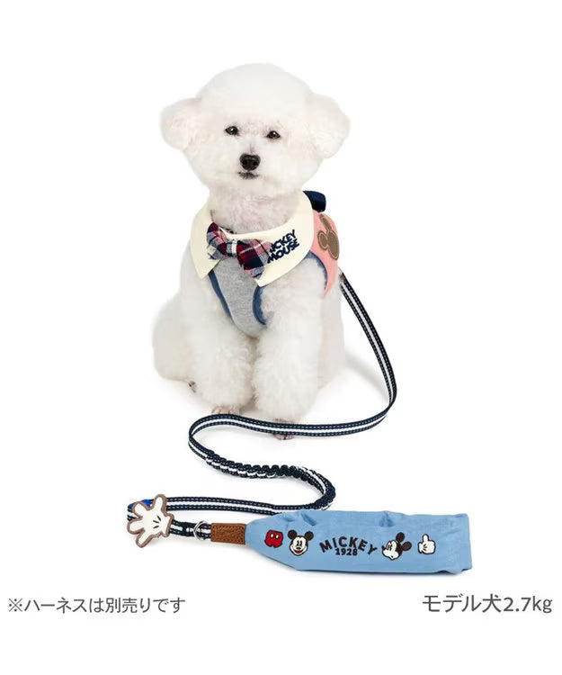 Mickey Mouse Cushion Lead