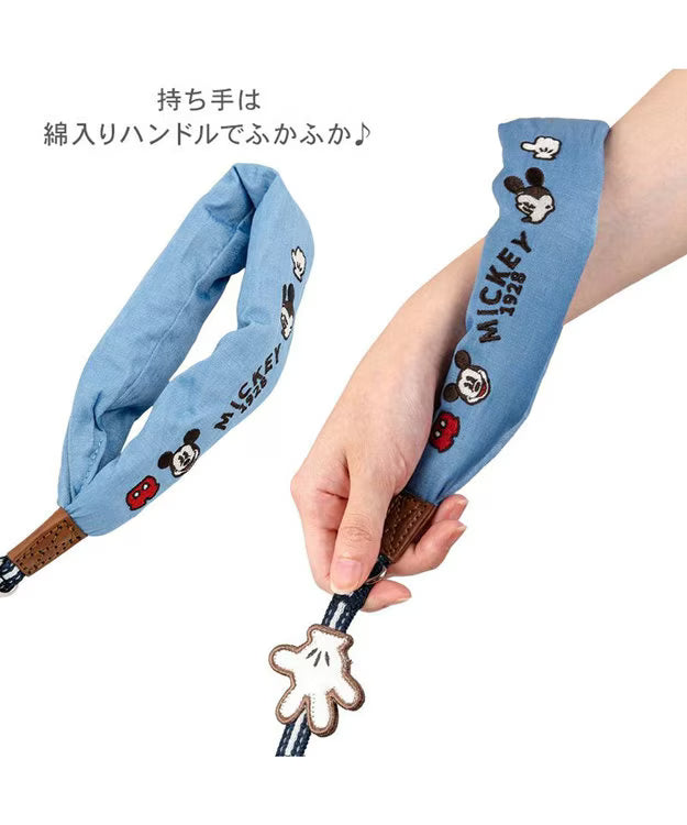 Mickey Mouse Cushion Lead