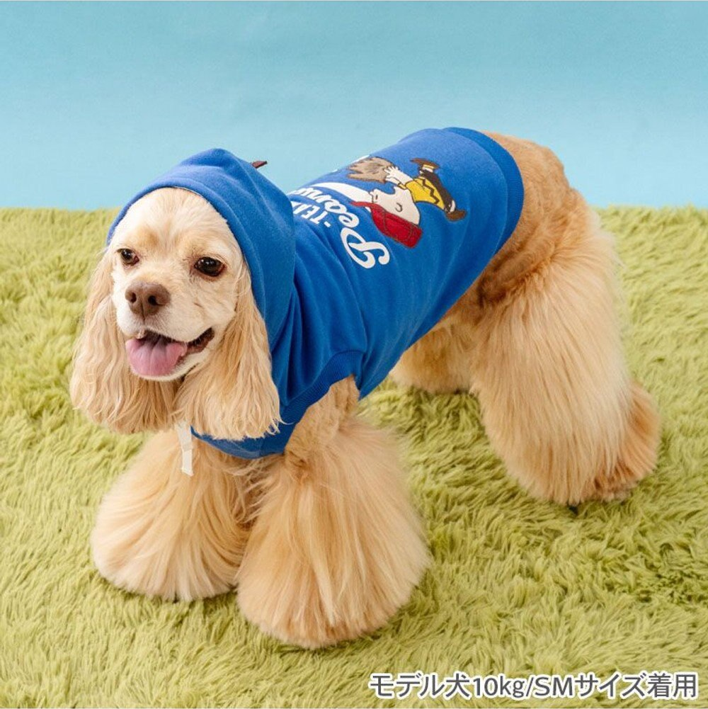 Vintage Snoopy Baseball Hoodie-Blue