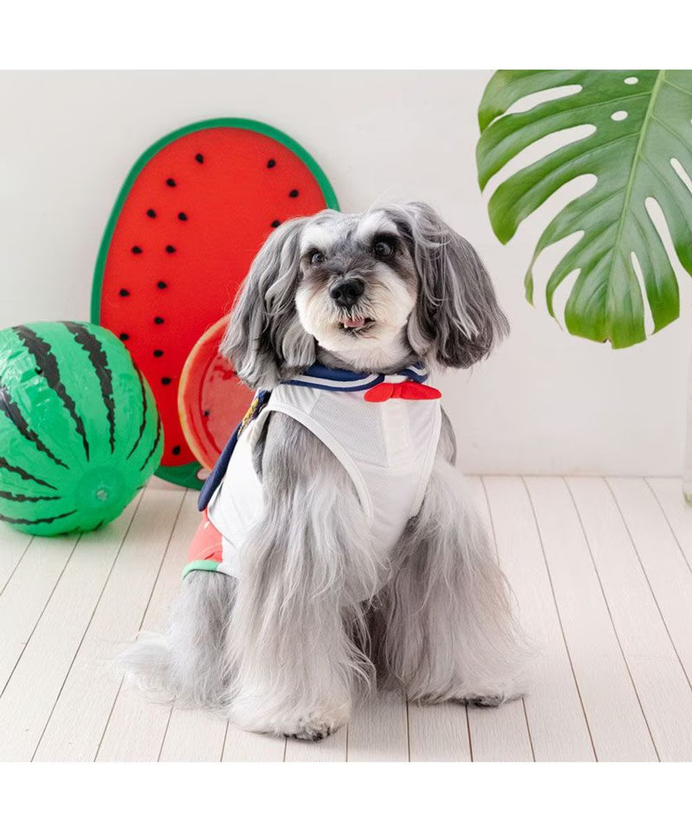 Snoopy Watermelon Tank Top with Cooling Pocket