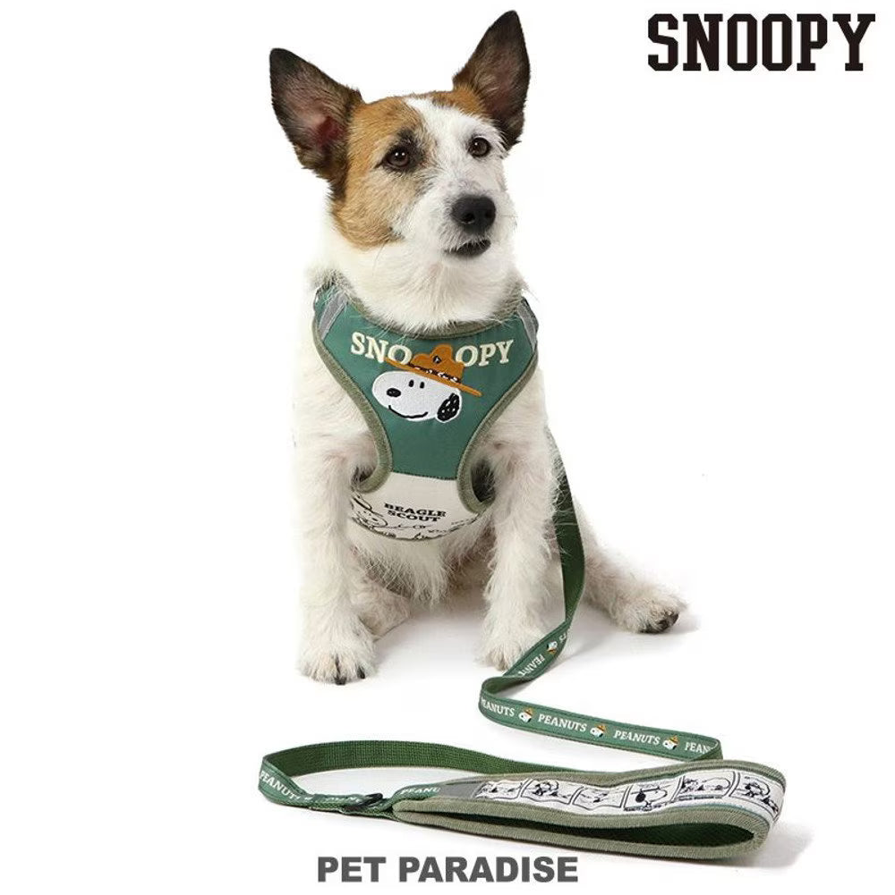 Snoopy Beagle Scout Harness & Leash