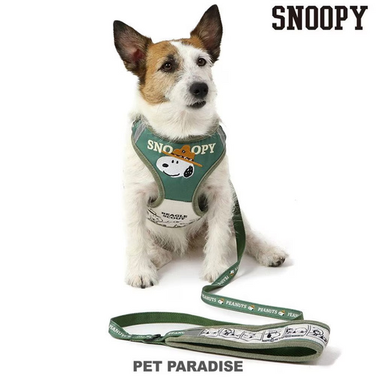 Snoopy Beagle Scout Harness & Leash