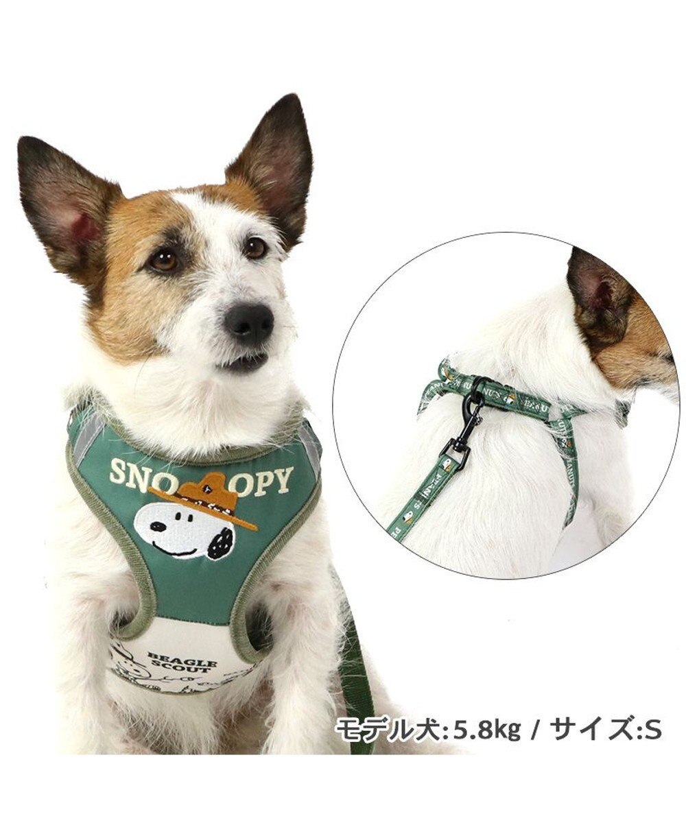 Snoopy Beagle Scout Harness & Leash